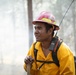 Brewer Fire Operations