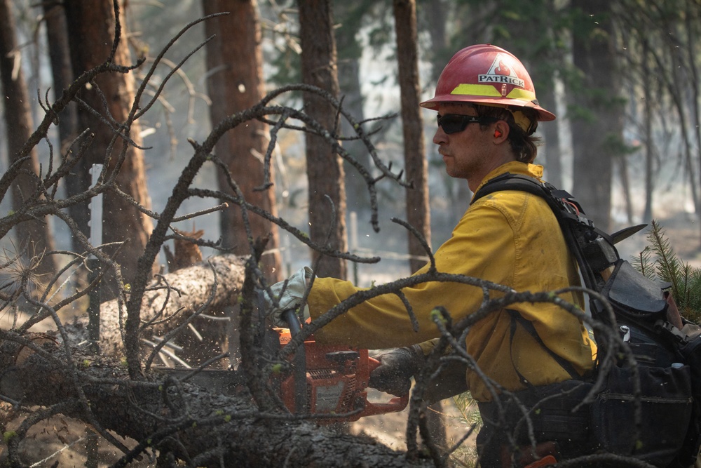 Brewer Fire Hazard Tree Felling