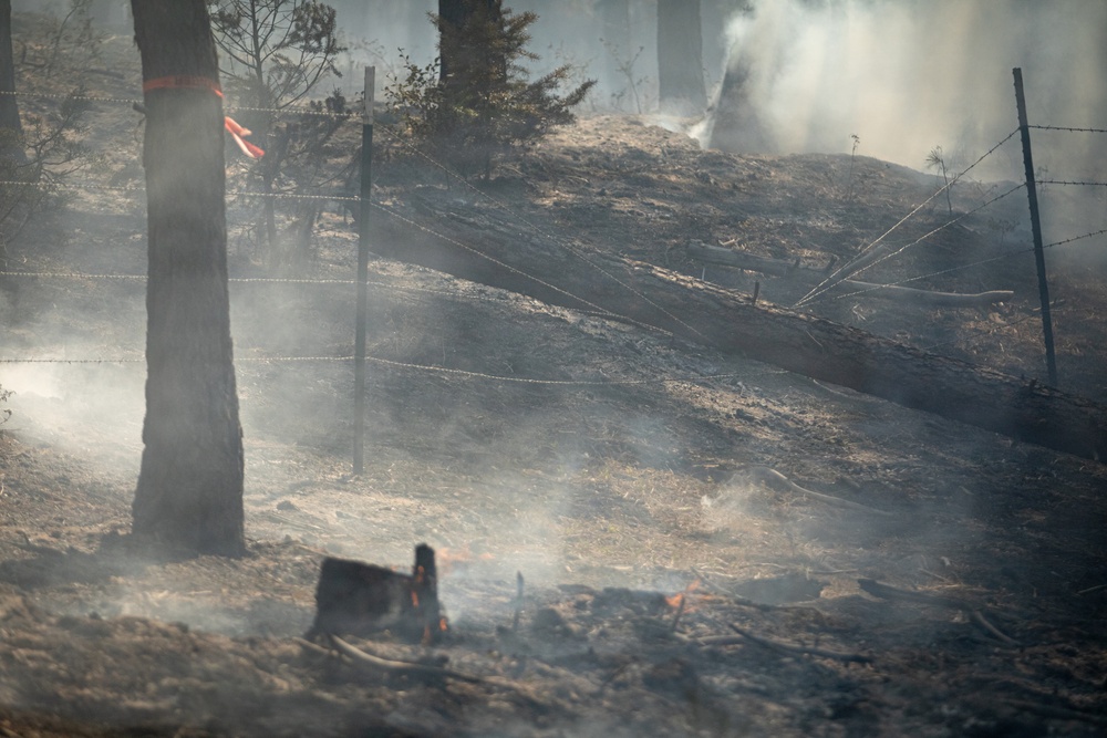Brewer Fire