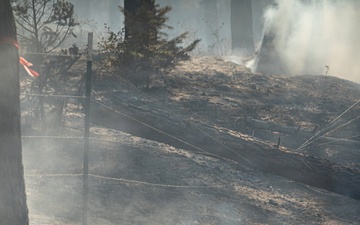 Brewer Fire