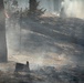 Brewer Fire