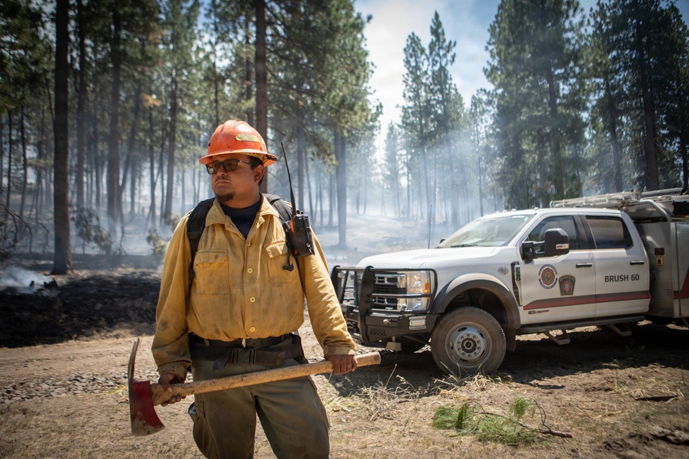 Brewer Fire Monitoring