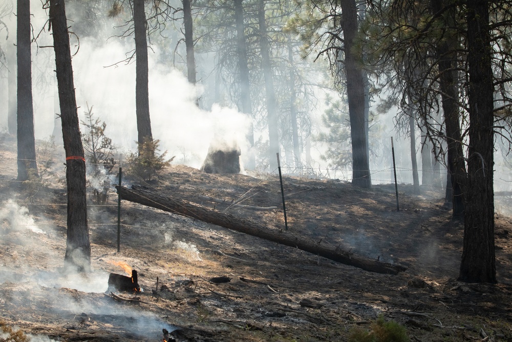 Brewer Fire
