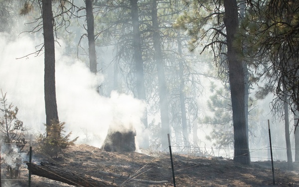 Brewer Fire