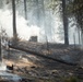 Brewer Fire