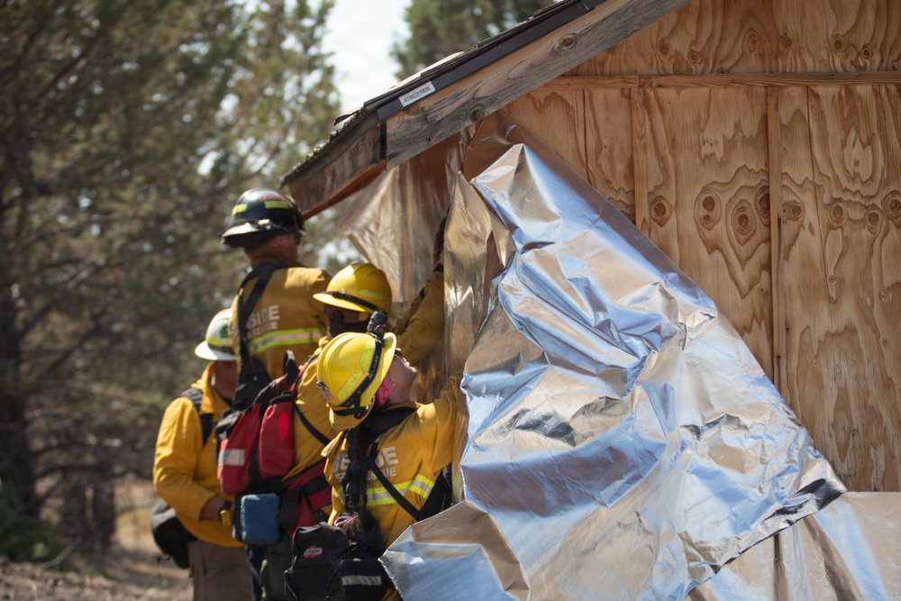 Brewer Fire Structure Protection