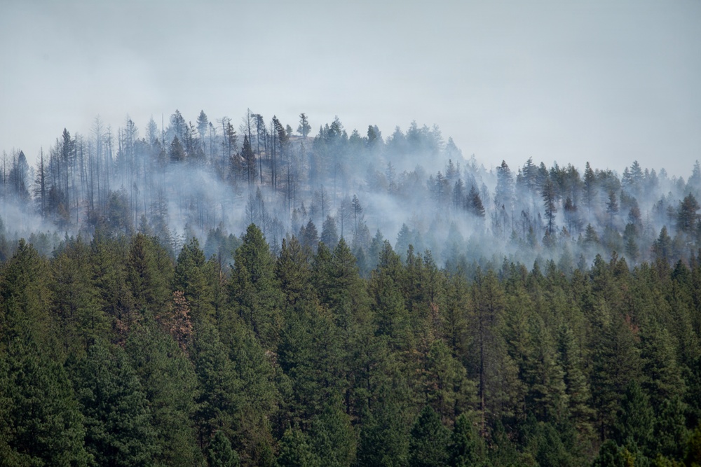Brewer Fire