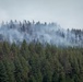 Brewer Fire