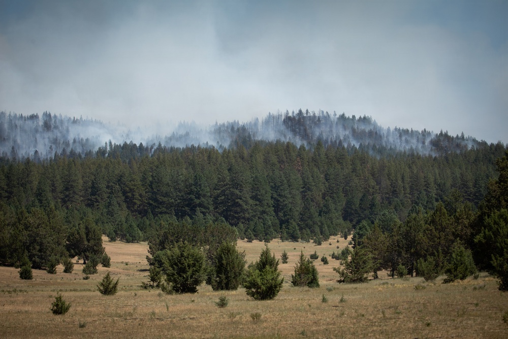 Brewer Fire
