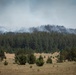 Brewer Fire