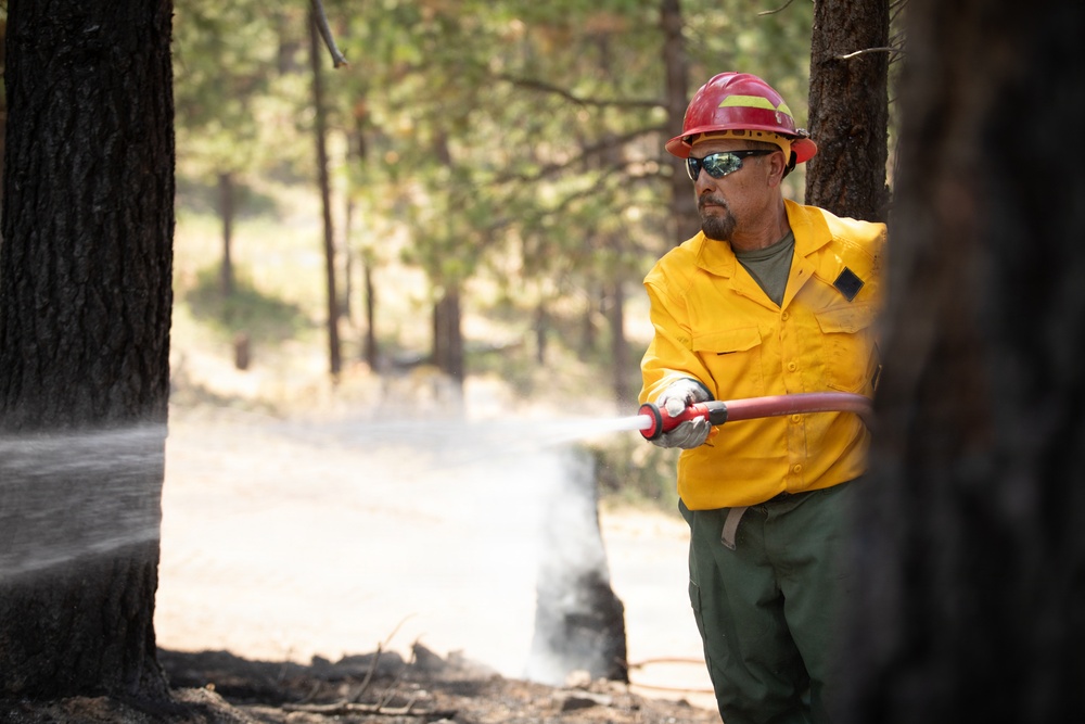Brewer Fire Operations