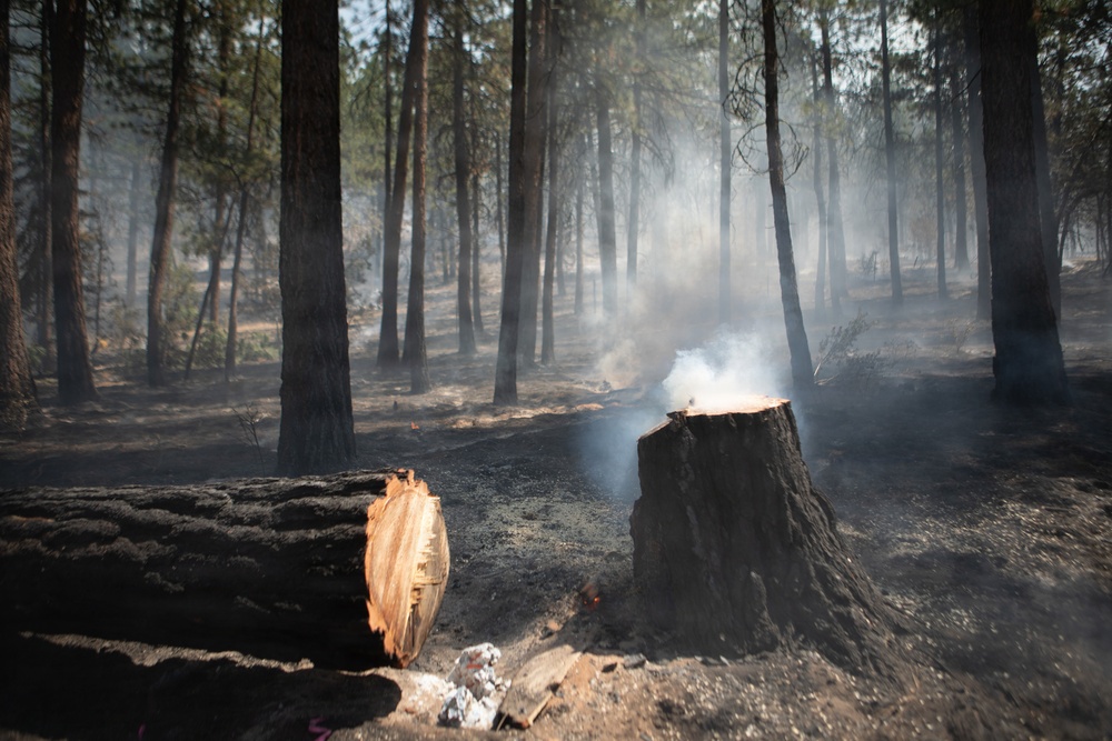 Brewer Fire