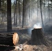 Brewer Fire