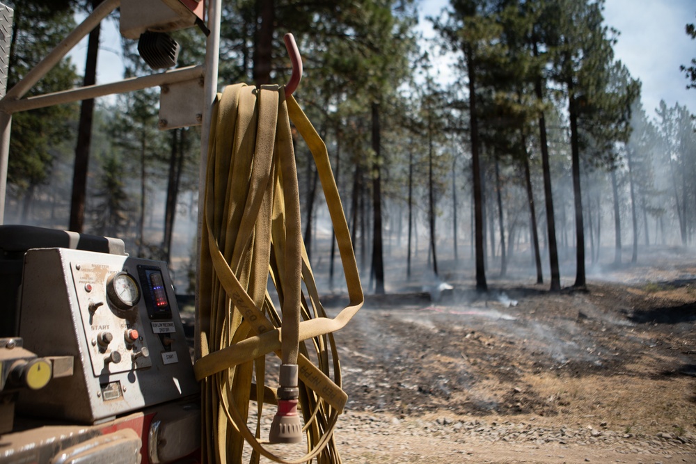 Brewer Fire