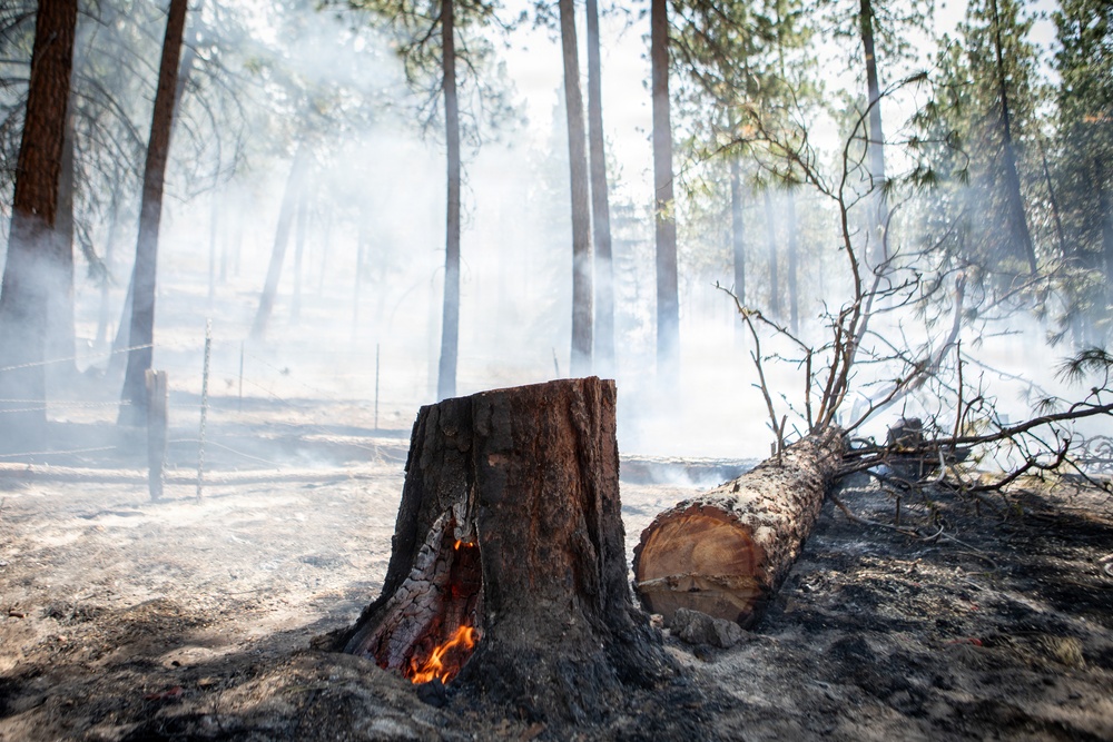 Brewer Fire