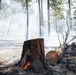 Brewer Fire