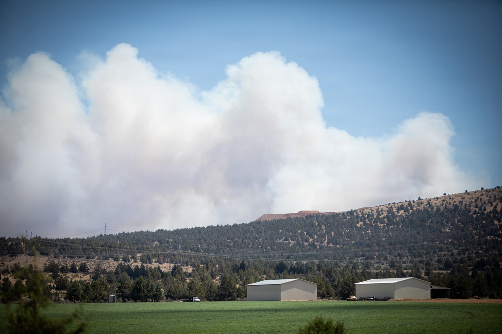 Brewer Fire