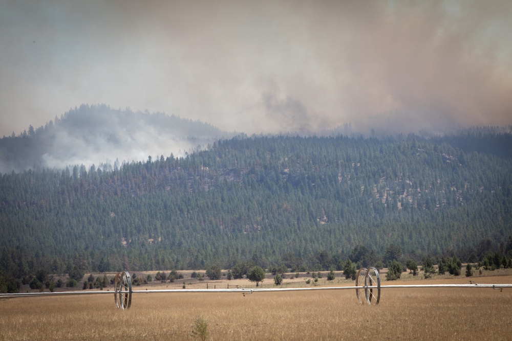 Brewer Fire