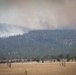 Brewer Fire