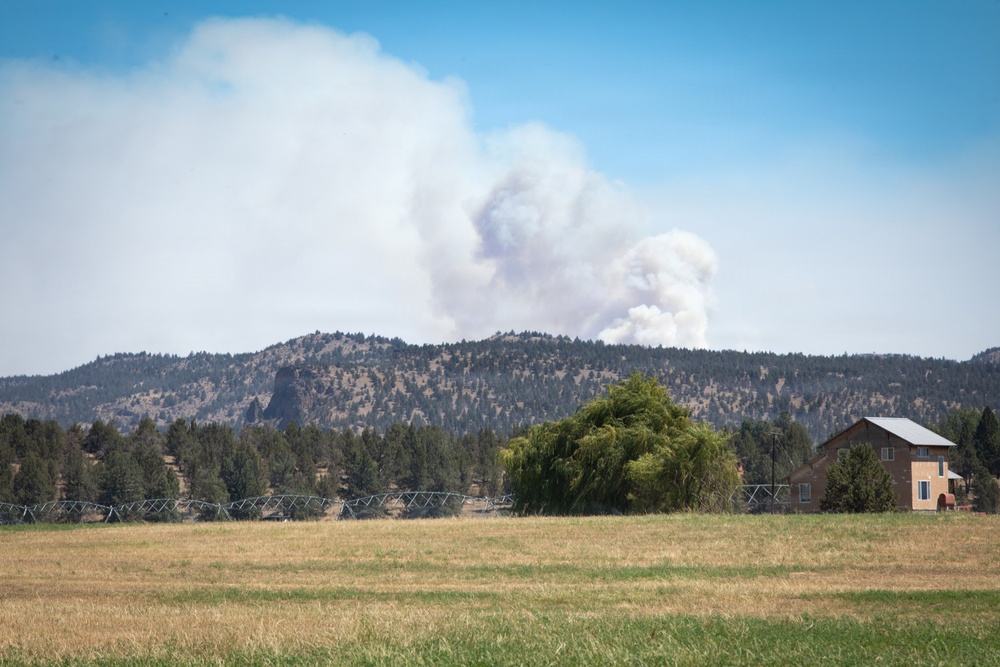 Brewer Fire