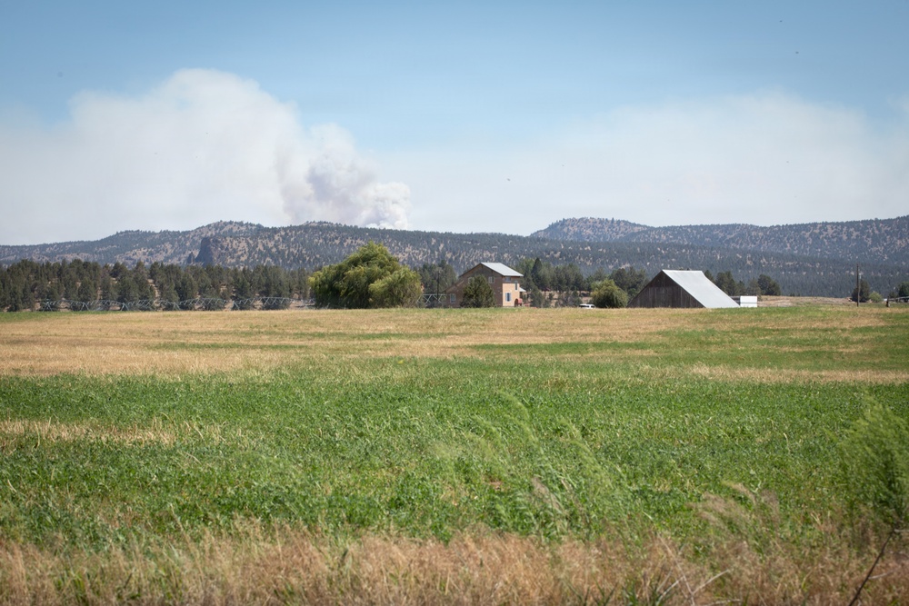 Brewer Fire