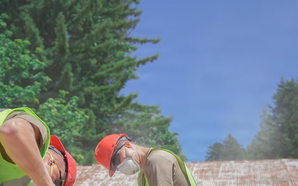 Beyond the Beauty: 201st RED HORSE Partners with the National Park Service to Preserve America’s Redwoods While Building Readiness