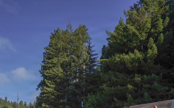 Beyond the Beauty: 201st RED HORSE Partners with the National Park Service to Preserve America’s Redwoods While Building Readiness