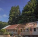 Beyond the Beauty: 201st RED HORSE Partners with the National Park Service to Preserve America’s Redwoods While Building Readiness