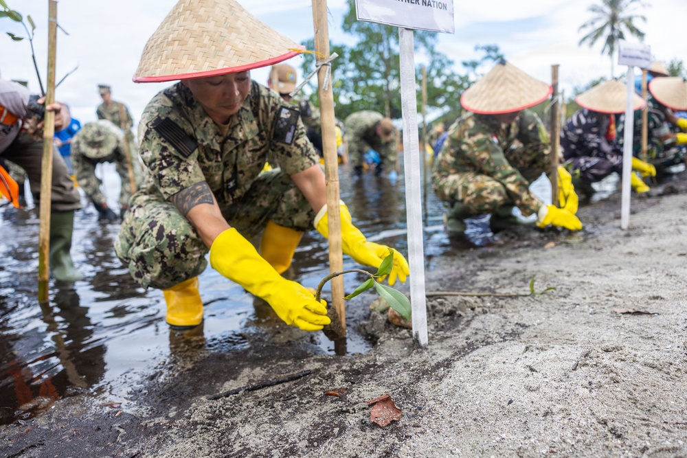 Pacific Partnership 2026 plants mangrove trees with TNI during host nation outreach event