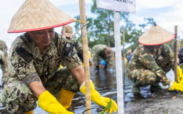 Pacific Partnership 2026 plants mangrove trees with TNI during host nation outreach event