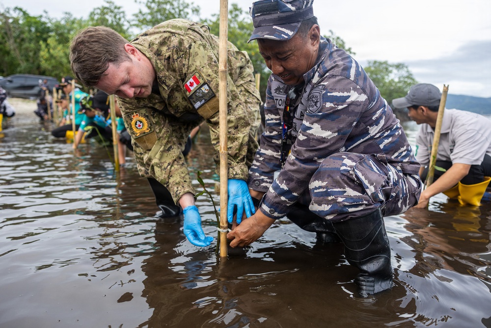Pacific Partnership 2026 plants mangrove trees with TNI during host nation outreach event