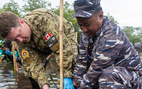 Pacific Partnership 2026 plants mangrove trees with TNI during host nation outreach event