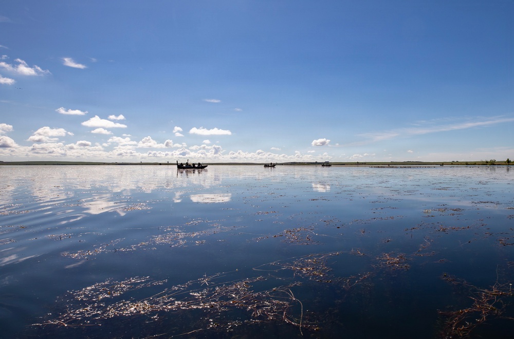 USACE, partner agencies band more than 650 geese during Lake Audubon conservation effort
