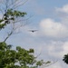 130th Airlift Wing Conducts Flyover at National Jamboree