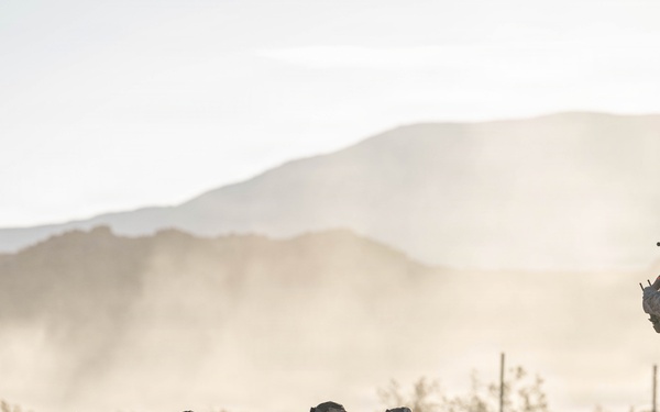 SLTE 4-26: 2nd Battalion, 2nd Marine Regiment Conduct Live-Fire Squad Attacks