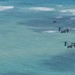 U.S. Marines, Peruvian Naval Infantry marines conduct air insert