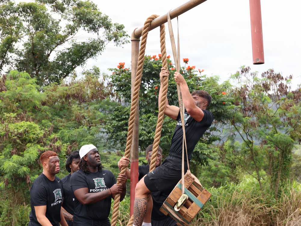 Tropic Lightning, Rainbow Warriors Forge Teamwork on Schofield Barracks