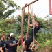 Tropic Lightning, Rainbow Warriors Forge Teamwork on Schofield Barracks