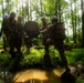 U.S. Marine Corps Officer Candidates Complete the Forge