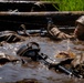 U.S. Marine Corps Officer Candidates Complete the Forge