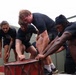 Tropic Lightning, Rainbow Warriors Forge Teamwork on Schofield Barracks