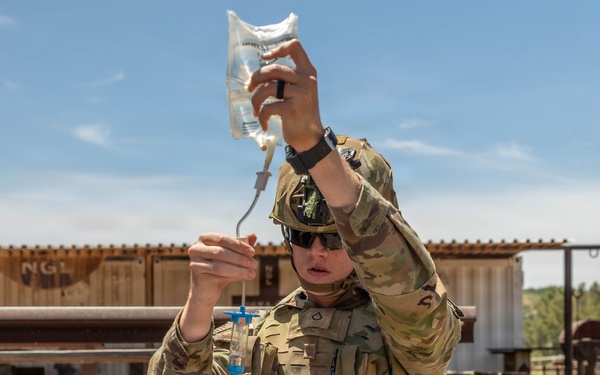 Service Members Enhance Medical Readiness During Joint Training