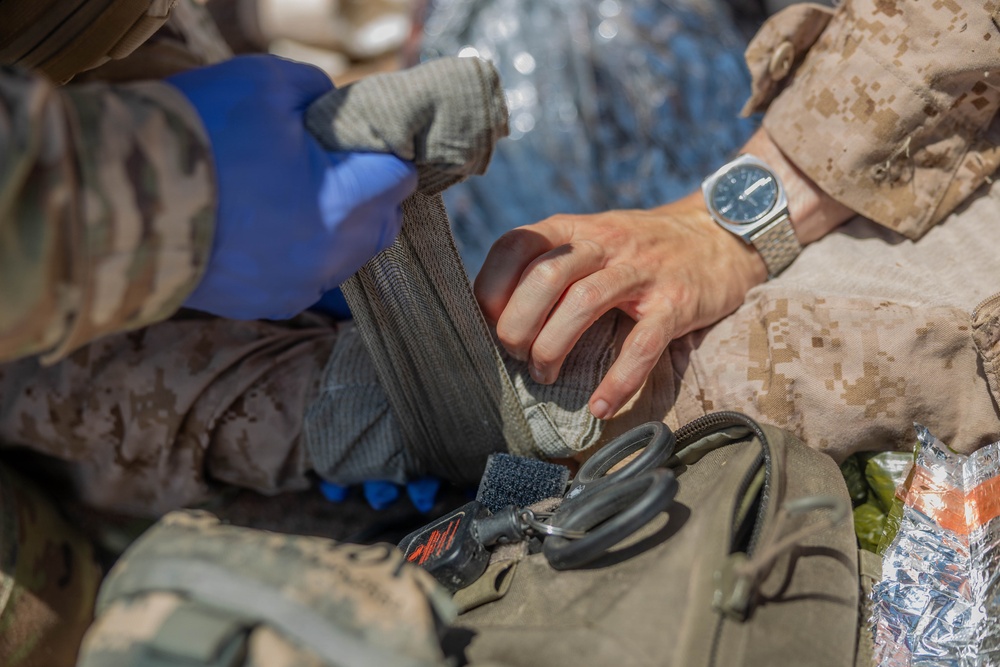 Service Members Enhance Medical Readiness During Joint Training