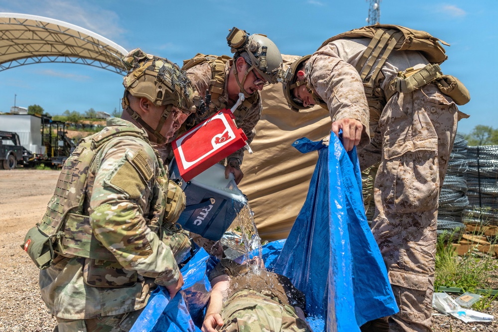 Service Members Enhance Medical Readiness During Joint Training
