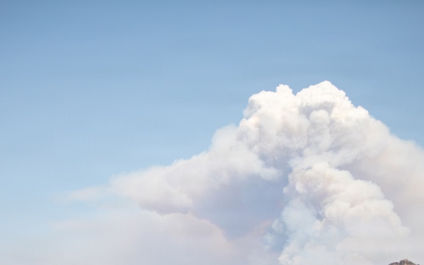 Brewer Fire