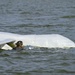 Exercise Savage Jackal: 57th RQS validates over-water sensitive item recovery capabilities