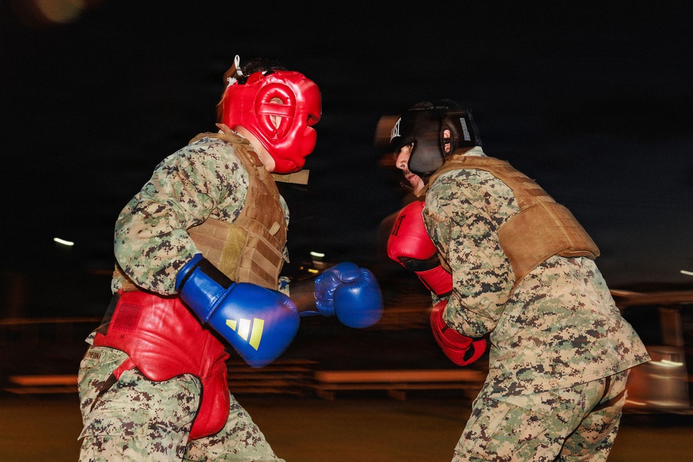U.S. Marines participate in Martial Arts Instructor Course 91-26