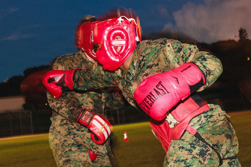 U.S. Marines participate in Martial Arts Instructor Course 91-26