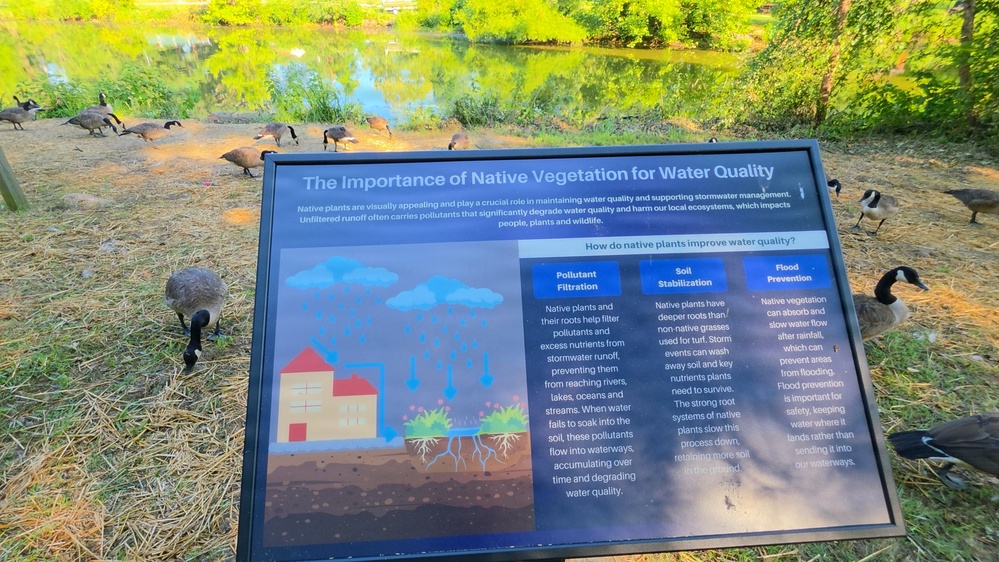 New Educational Signs Highlight Burba Lake Restoration
