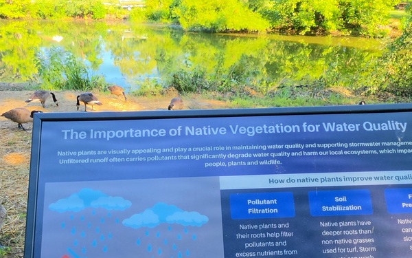 New Educational Signs Highlight Burba Lake Restoration